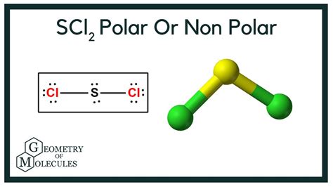 Which one of the following molecules is nonpolar CH 2 Cl 2. . Scl2 polar or nonpolar
